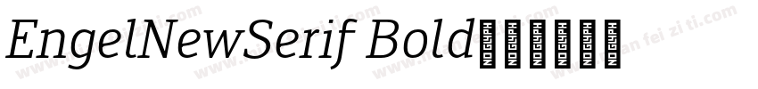 EngelNewSerif Bold字体转换